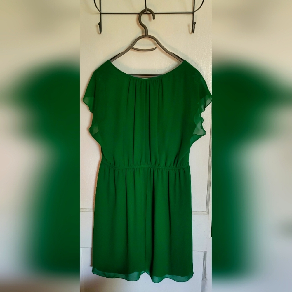 Enfocus Green Dress